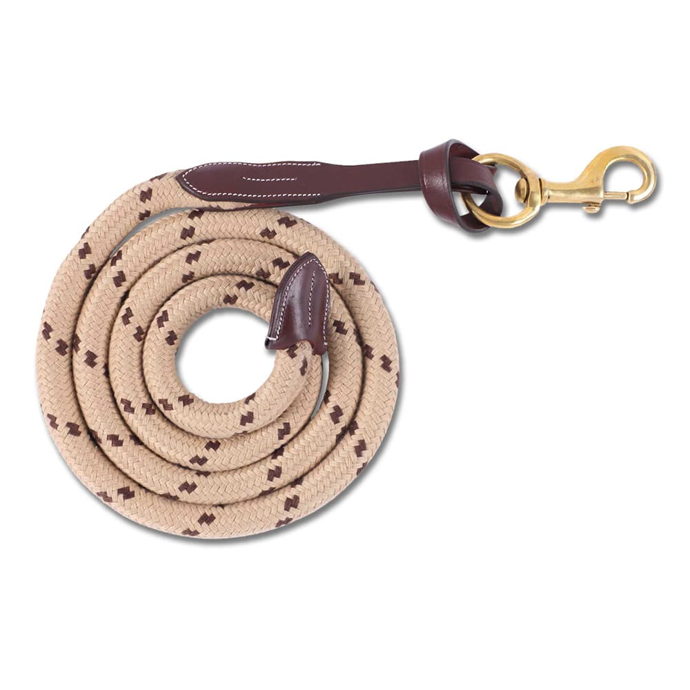 Lead rope with carabiner