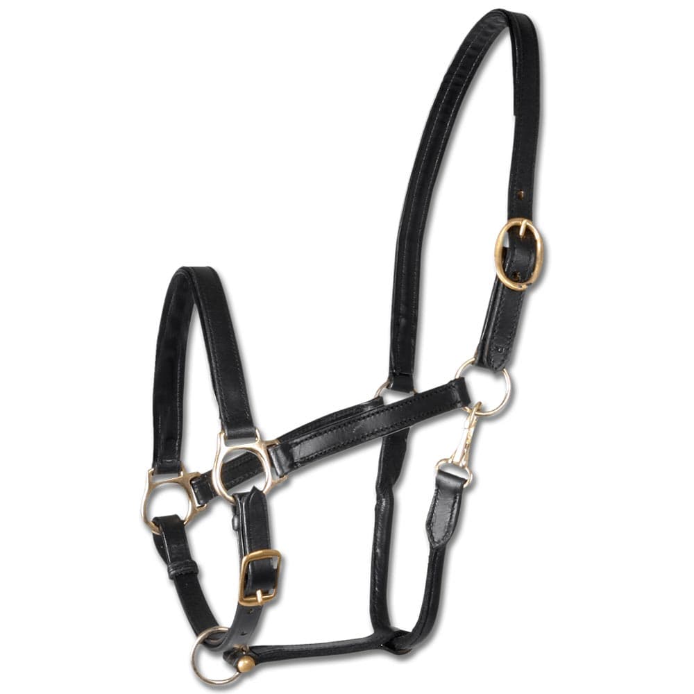 Cavezza Cavallo in Cuoio Robust - Horse&Green