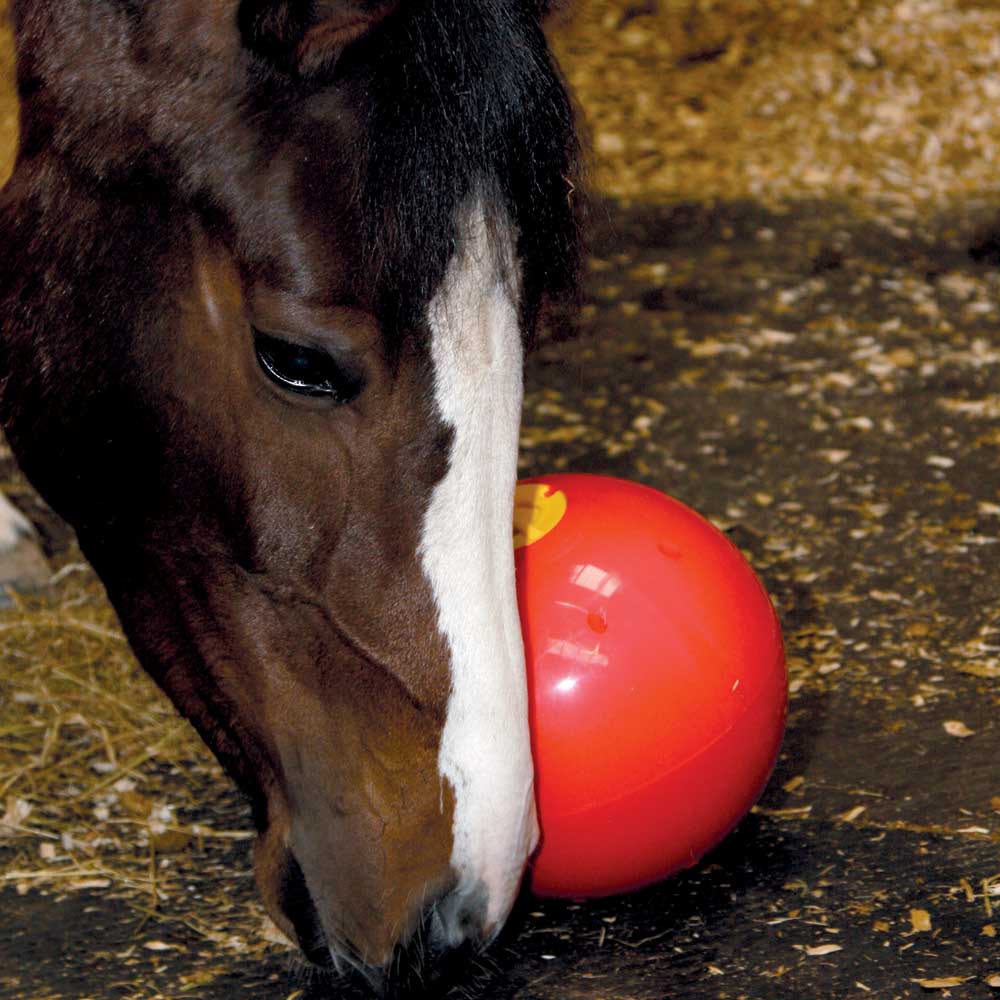 Amusant cheval friandise balle foin mangeoire jouet balle cheval