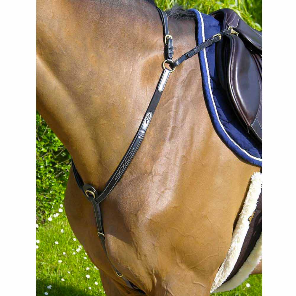 Green Hoof Grasso per Zoccoli Cavallo - Horse&Green