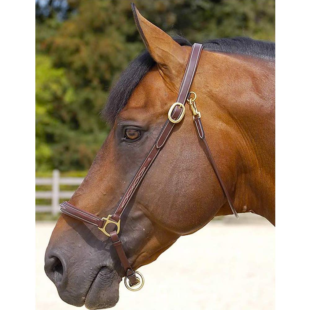 Capezza Fancy per Cavallo - Horse&Green