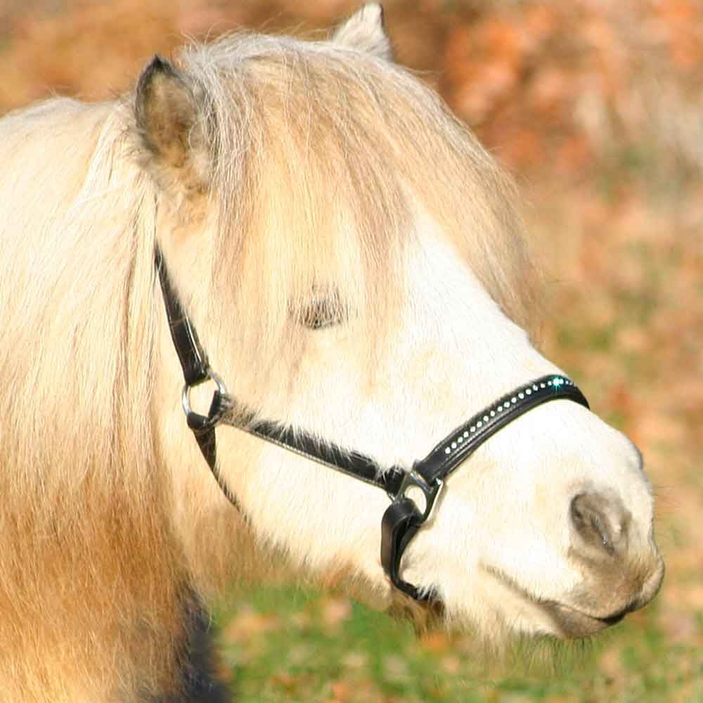 Capezza Cavallo in Cuoio Diamond - Horse&Green