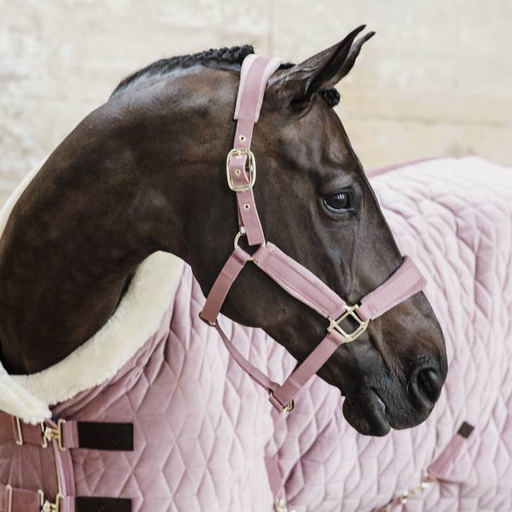 Cavezza per Il Tuo Cavallo Hobby Rosa con Pelliccia Bianca