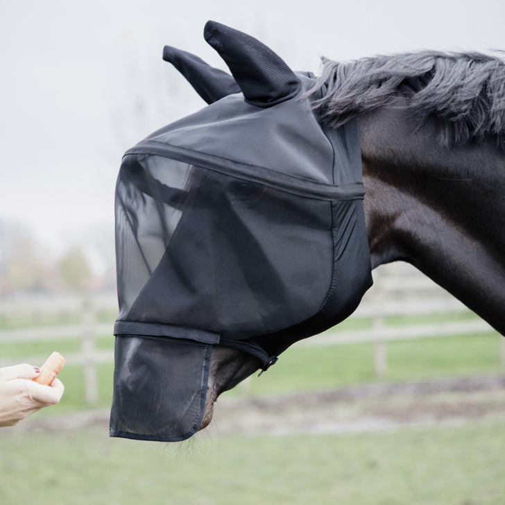 Frontalino con Strass per Cavallo Sartore - Horse&Green