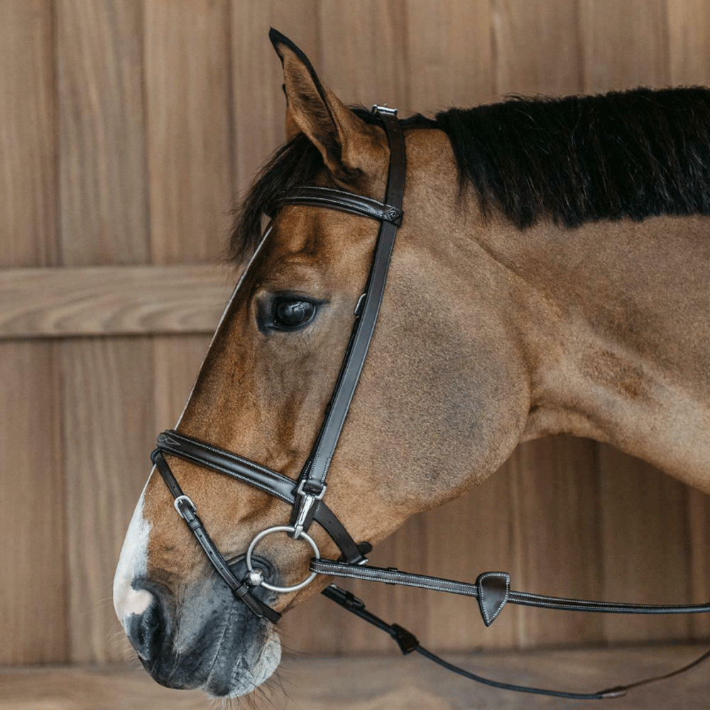 Frontalino per Cavallo Clincher Oro - Horse&Green